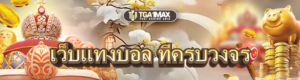 เว็บแทงบอล